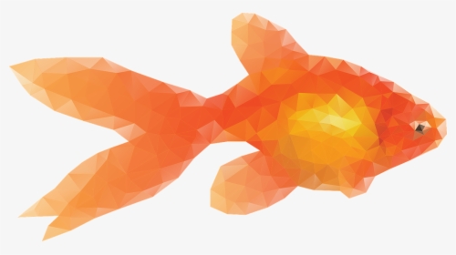 Gold Fish Graphic, HD Png Download, Transparent PNG