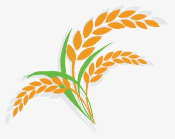 Oatmeal Clipart Breakfast Item - Rice Plant Clipart Png, Transparent Png, Transparent PNG