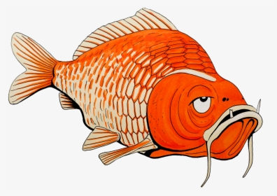 Drawing Goldfish Pretty - Coral Reef Fish, HD Png Download, Transparent PNG