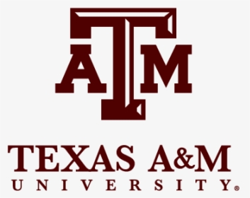 Tam Stack - Texas A&m University At Qatar Logo, HD Png Download, Transparent PNG