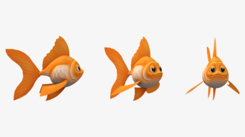 Goldfish - Coral Reef Fish, HD Png Download, Transparent PNG