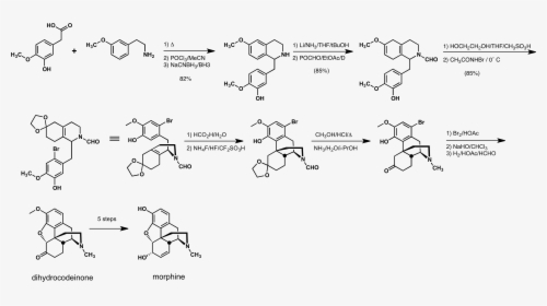 Rice Morphine Synthesis - Chemical Synthesis Of Morphine, HD Png Download, Transparent PNG