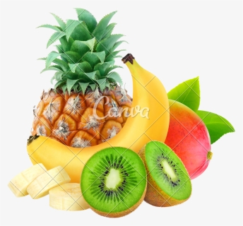 Tropical Fruits Png - Tropical Fruits T Shirt, Transparent Png, Transparent PNG