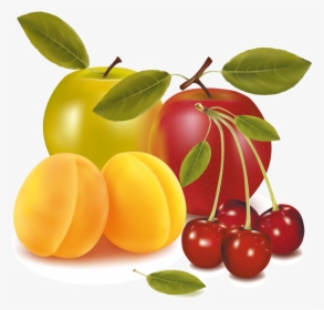 Fruit Drawing Clip Art - Oxalic Acid Use In Agri, HD Png Download, Transparent PNG