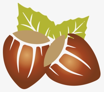 Hazelnuts, Dried Fruits, Plant, Nutritious, Dry Almonds - Hazelnut Clipart, HD Png Download, Transparent PNG