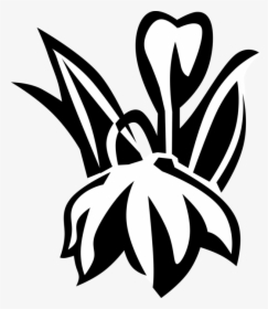 Vector Illustration Of Blue Eyed Grass Satin Flower - Emblem, HD Png Download, Transparent PNG