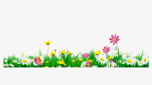 #mq #green #grass #flowers #flower #white - Grama Florzinha Png, Transparent Png, Transparent PNG