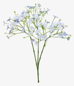 Download Blue Cut Bouquet Breath Flower Baby S-breath - Baby's Breath Flower Png, Transparent Png, Transparent PNG
