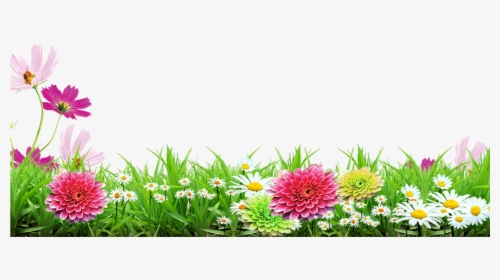 Grass With Flower Background PNG Images, Transparent Grass With Flower  Background Image Download - PNGitem