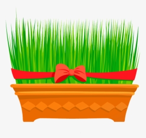 Wheat Grass, Flower, Season, Outdoor, Color - Wheatgrass Png, Transparent Png, Transparent PNG