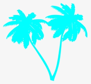 Sky Blue Palms Svg Clip Arts - Palm Tree Clip Art Vector, HD Png Download, Transparent PNG