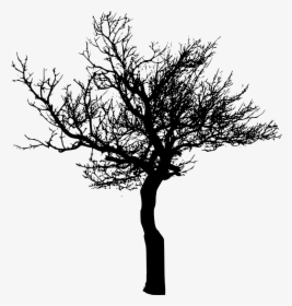 Tree-silhouette - Transparent Background Tree Silhouette Png, Png Download, Transparent PNG