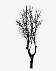 Tree-silhouette - Forest Trees Silhouette Png, Transparent Png, Transparent PNG