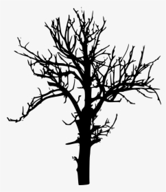Tree-silhouette - Tree Silhouette No Background, HD Png Download, Transparent PNG