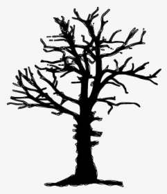 Plant Forest Dieback, Forest Decline, Tree, Dead, Dry, - Dead Tree Silhouette Png, Transparent Png, Transparent PNG