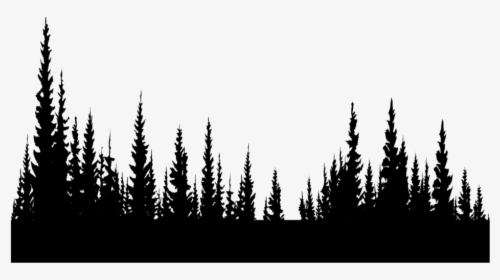 #freetoedit #trees #silhouette #black #forest #inthedistance - Shortleaf Black Spruce, HD Png Download, Transparent PNG