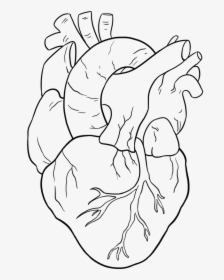 Easy Drawing Guides On Twitter Are You Ready To Draw - Real Easy Heart Drawings, HD Png Download, Transparent PNG