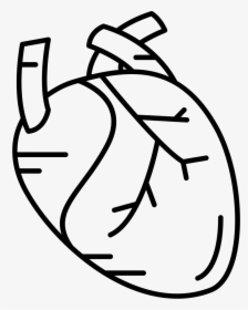 Transparent Human Heart Png - Free Human Heart Icons, Png Download, Transparent PNG