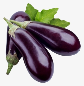 Eggplant Png Image - Eggplant Png, Transparent Png, Transparent PNG