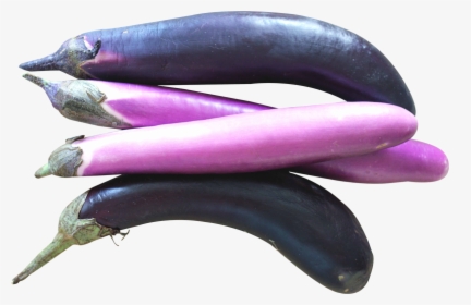 Chinese Eggplants, HD Png Download, Transparent PNG