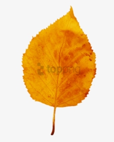 Yellow Brown Fall Leaf, Small Red Yellow Clipart - Orange Leaf Transparent Background, HD Png Download, Transparent PNG