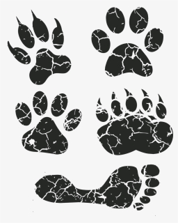 Paw Print, Paw, Foot Prints, Footprint, Animal Tracks - Animal Track, HD Png Download, Transparent PNG