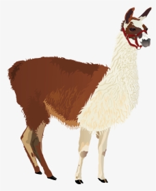 Llama Clip Art - Llamas Animal En Png, Transparent Png, Transparent PNG