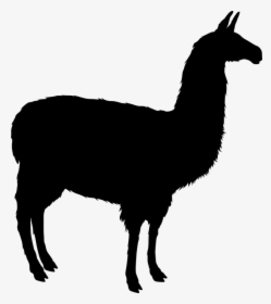 Llama Alpaca Silhouette Clip Art - Silhouette Transparent Llama Svg, HD Png Download, Transparent PNG