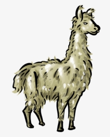 Free Llama 1 Page Of Public Domain Clipart - Transparent Llama Clipart, HD Png Download, Transparent PNG
