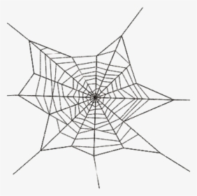 Spider Web Png Bear Clipart Hatenylo - Spider Web Transparent Png, Png Download, Transparent PNG