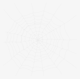Spider Web , Png Download - Spider Web, Transparent Png, Transparent PNG