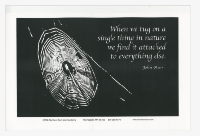 John Muir Poster - John Muir Love Quotes, HD Png Download, Transparent PNG