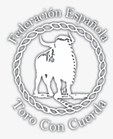 Llama , Png Download - Stallion, Transparent Png, Transparent PNG
