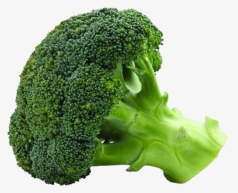 Chinese Broccoli Cauliflower Vegetable Nutrition - Broccoli Png, Transparent Png, Transparent PNG
