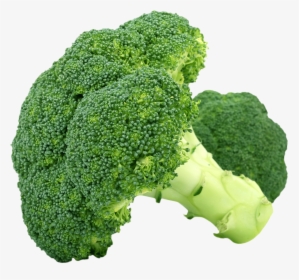 Broccoli Vegetable Steaming Fruit - Flower Vegetables Examples, HD Png Download, Transparent PNG