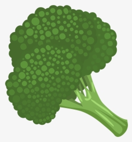 Broccoli Clipart Transparent Background, HD Png Download, Transparent PNG
