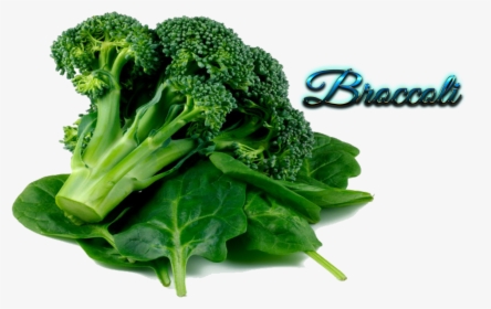 Transparent Broccoli Png - Broccoli Spinach Png, Png Download, Transparent PNG