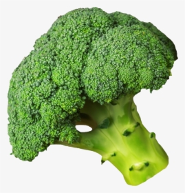 Broccoli Png - Coliflor Png, Transparent Png, Transparent PNG