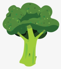 Broccoli, Cost-effective Health Foods - Illustration, HD Png Download, Transparent PNG