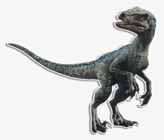 Velociraptor Transparent Secondary - Velociraptor Blue, HD Png Download, Transparent PNG