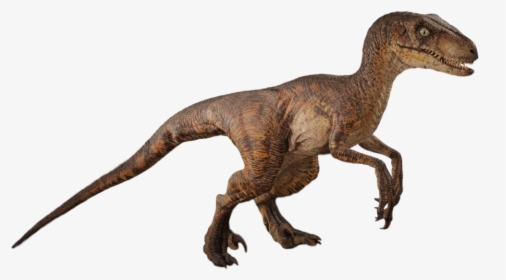 Dinosaur,animal Figure,terrestrial - Jurassic Park Velociraptor Png, Transparent Png, Transparent PNG