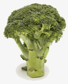 Broccoli Vegetable Food Health Cauliflower - Hiding Broccoli In Milk, HD Png Download, Transparent PNG