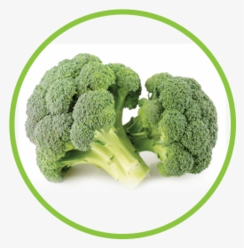Broccoli Md Circle - Broccoli, HD Png Download, Transparent PNG