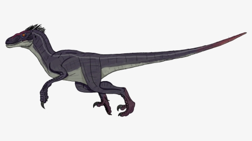 Jurassic Park 3 Male Velociraptor Clipart , Png Download - Jurassic Park 3 Male Raptor, Transparent Png, Transparent PNG