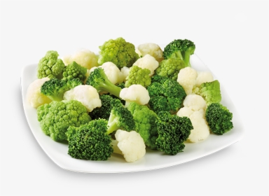 Broccoli, HD Png Download, Transparent PNG