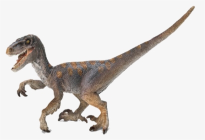 Velociraptor Cretaceous Period Dinosaurs, HD Png Download, Transparent PNG