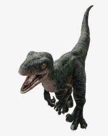 Jurassic World Baby Delta, HD Png Download, Transparent PNG