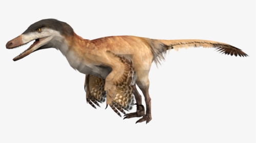 Velociraptoricon - Velociraptor, HD Png Download, Transparent PNG