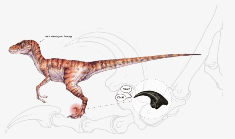 Velociraptor Jurassic Park Concept Art, HD Png Download, Transparent PNG