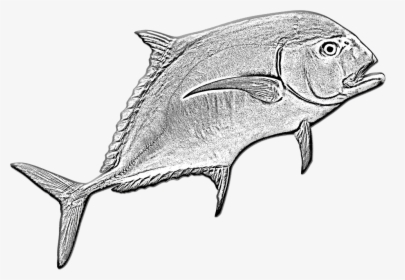 Transparent Ocean Fish Png - Ikan Kue Png, Png Download, Transparent PNG